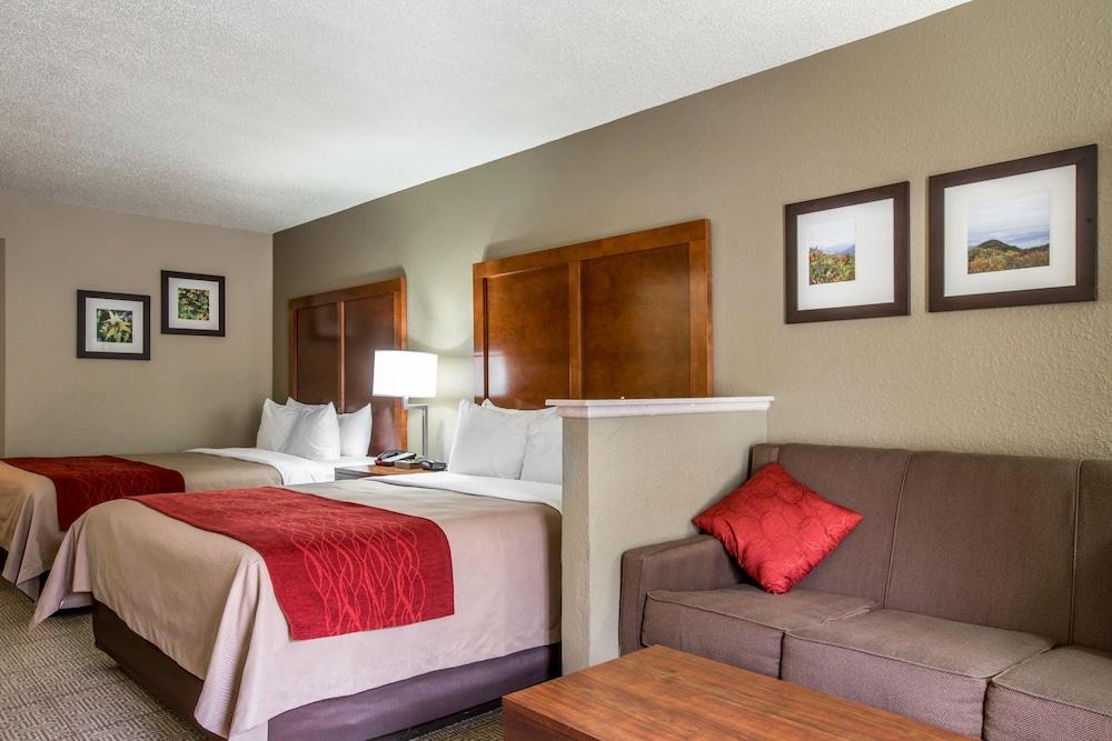 Comfort Inn & Suites At Dollywood Lane Pigeon Forge Bagian luar foto